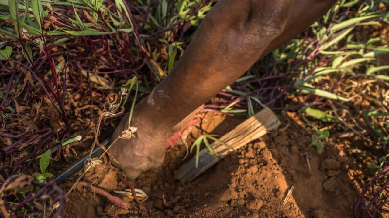 Fair And Responsible Data Practices Unlock Value Fair Process Framework