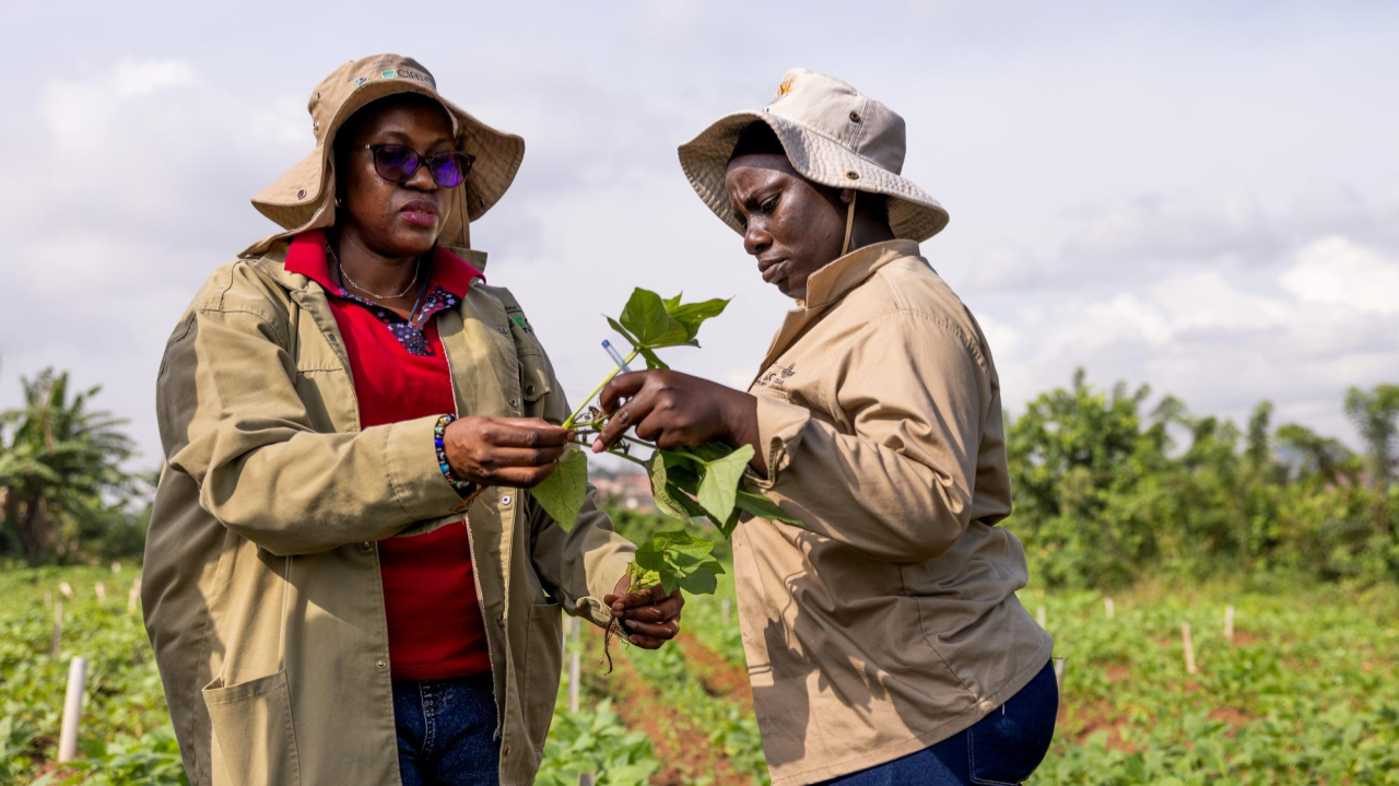 Fair And Responsible Data Practices Unlock Value Fair Process Framework