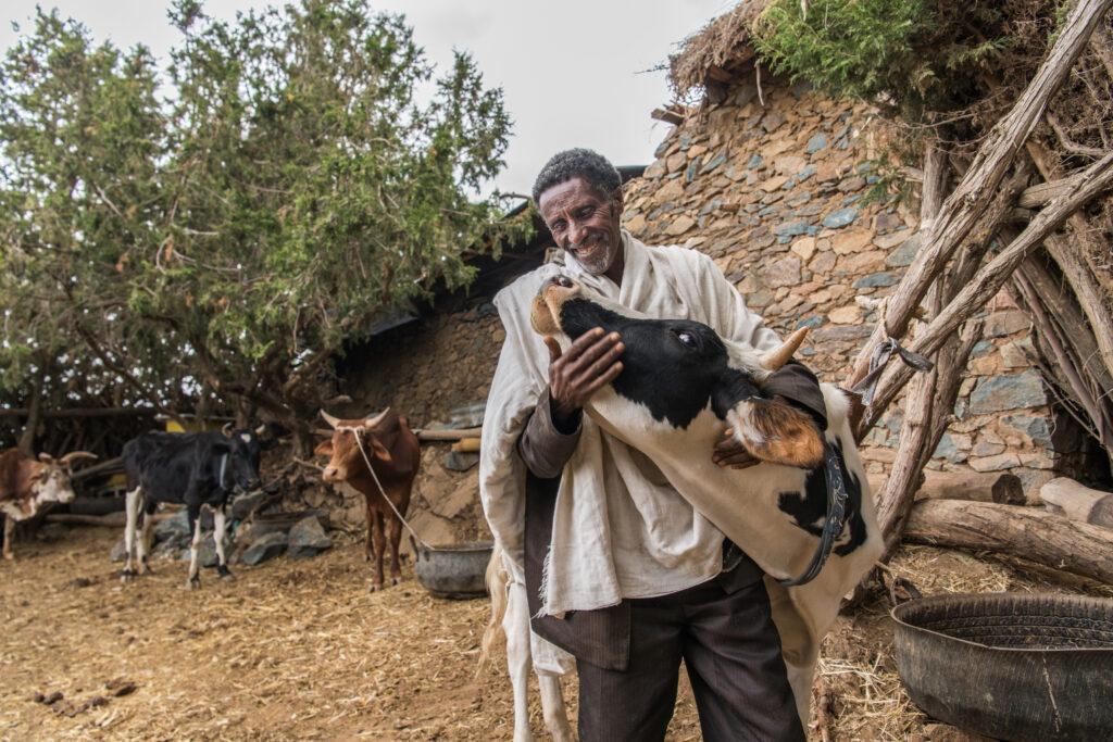 About This Framework Fair Process Framework