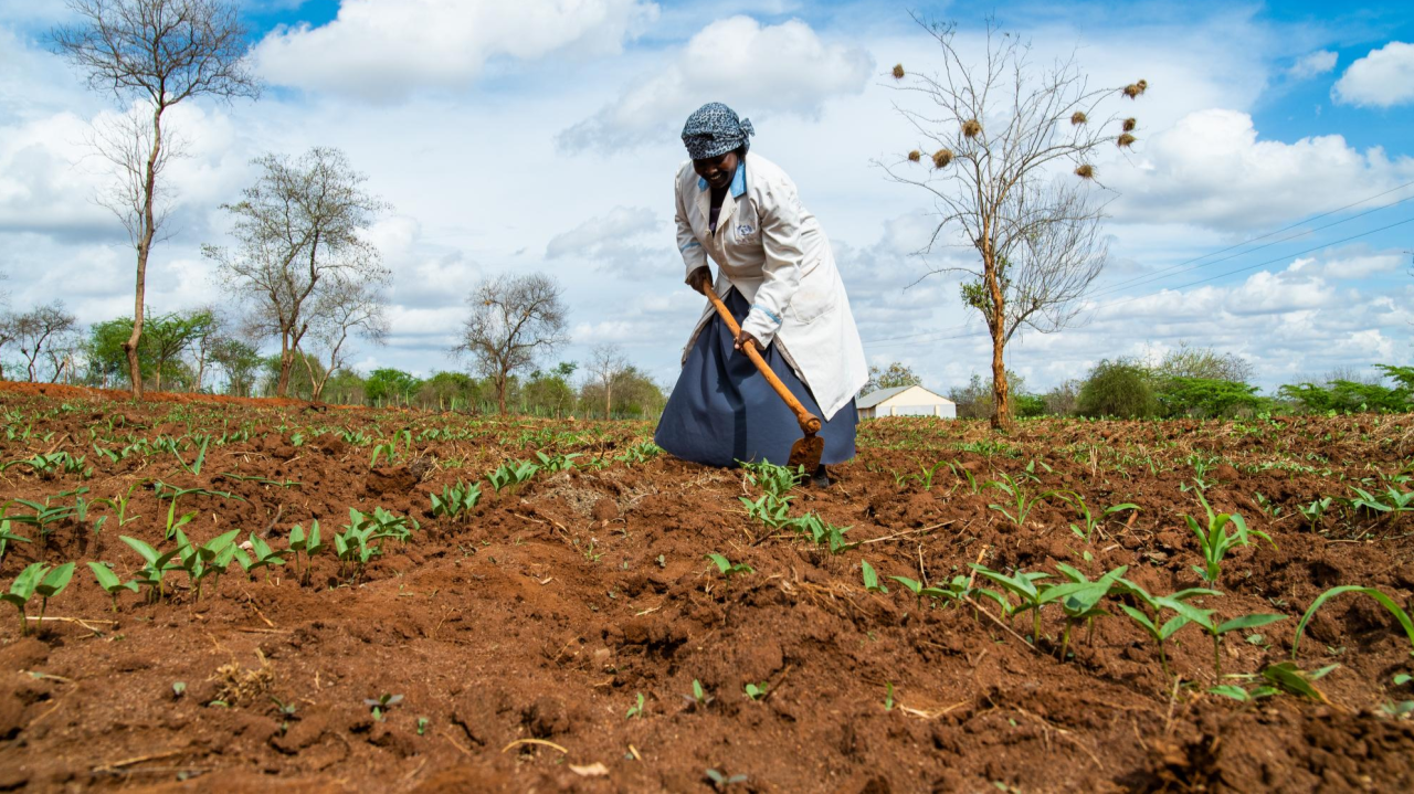 Fair And Responsible Data Practices Unlock Value Fair Process Framework